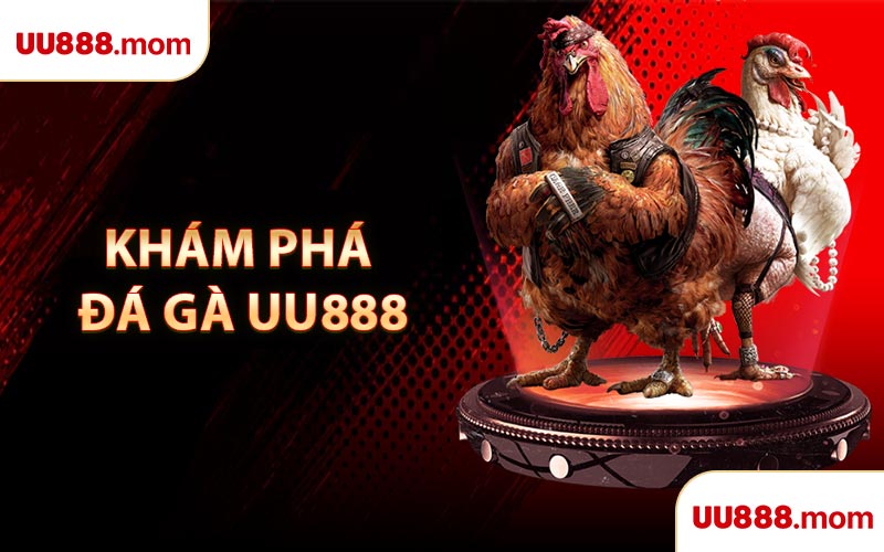 Khám Phá Đá Gà UU888