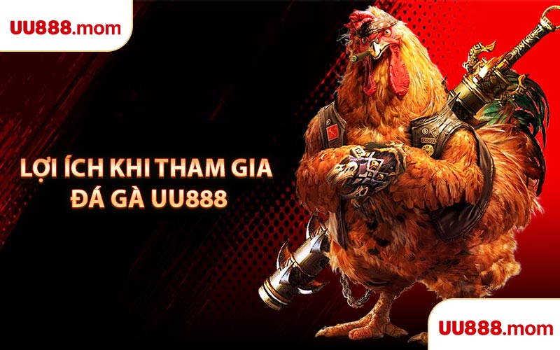 Lợi Ích Khi Tham Gia Đá Gà UU888